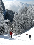 /Ski/2009/Images/1638/Photo 074Icon.jpg